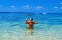 Ishigaki Sea Turtle Snorkeling Tour