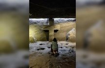 Zipaquira Salt Cathedral Emerald and Coffee Tour from Bogota