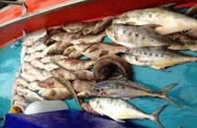 Koh Samui Private Night Fishing with Fresh Catch Cooking Onboard