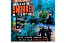 Privately Guided Snorkelling the African Sea Forest, Simonstown