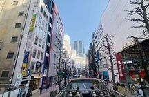 Tokyo City Highlights Bus Tour with TeamLab Borderless Ticket