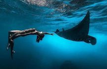 Private Boat Nusa Penida | Snorkeling 3 Points & Island Escape