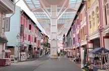 Small Group Singapore City, Cultural & Heritage Tour by CYT