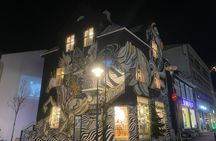 Private Reykjavik History and Sightseeing Experience