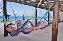 Ultimate Combo: Beach Brake, Buggy Shore Excursion & Snorkeling