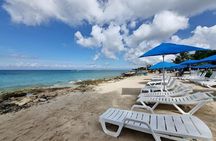 Ultimate Combo: Beach Brake, Buggy Shore Excursion & Snorkeling