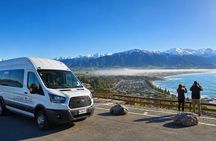 Kaikoura Albatross Encounter Tour from Christchurch