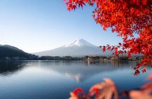 Mt Fuji Private One-Day Tour by Chartered Vehicle from Tokyo