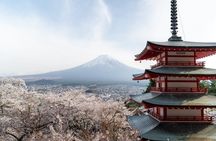Mt Fuji Private One-Day Tour by Chartered Vehicle from Tokyo