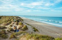 Albufera Natural Park Tour from Valencia: Boat Ride & Local Guide