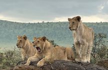 3 Day Camping Safari in Serengeti and Ngorongoro crater