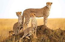 3 Day Camping Safari in Serengeti and Ngorongoro crater