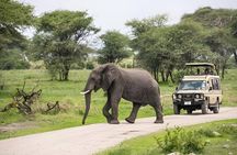 3 Day Camping Safari in Serengeti and Ngorongoro crater