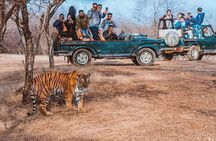 5-Day Golden Triangle with Ranthambore Safari & Bird Sanctuary