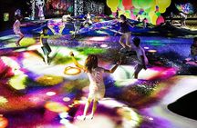 Tokyo TeamLab Borderless Ticket with Optional Private Transfer