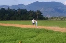 Balik Pulau Bicycle Tour