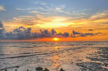 Balik Pulau Bicycle Tour