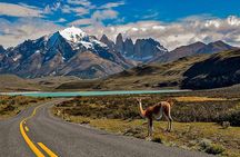 Full Day Torres del Paine and Grey Navigation from Punta Arenas