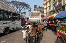 Full-Day Dhaka City Tour Explore Old & New Dhaka with Lunch