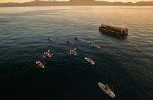 Golden Hour Clear Kayak Adventure