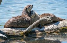 Grand Teton National Park Tour