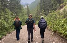 Rocky Mountain Breathwork, Sunset & Stargazing Experience