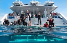 SeaQuest Day Trips to Outer Barrier Reef