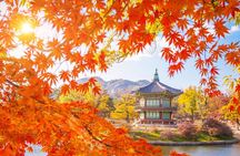 Flexible Layover Private Guided Tour in Seoul(pick up Incheon)