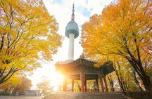 Flexible Layover Private Guided Tour in Seoul(pick up Incheon)