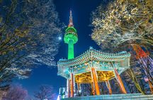 Night Flexible Private Guided Tour In Seoul(Optional layover)