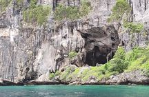 Shark Snorkeling in Phi Phi Islands Join Trip Longtail Boat