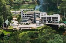 Tea Factory Tour from Nuwara Eliya