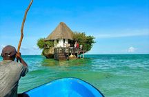 Jozani Forest Kuza Cave Paje Beach and Rock Restaurant Tour