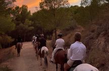 Horseback Riding Tour of Malaga Natural Park