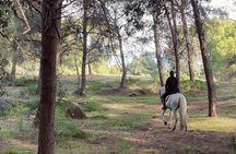 Horseback Riding Tour of Malaga Natural Park