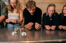 Bean to Bar Chocolate Making and Tasting Tour