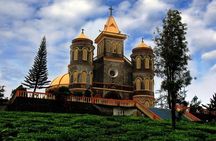 Thekkady Jeep safari and National Park Tour with Tea Tasting