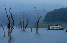 Thekkady Jeep safari and National Park Tour with Tea Tasting