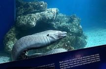 Panama Private Tour to National Reserve and Marine Biology lab!