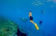 Half Day Snorkeling with Manta Ray Nusa Penida