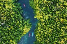 Sunrise Kayak Tour in Cancun