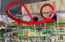 Ferrari World Admission Ticket Abu Dhabi with Transfer Option