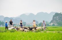 From Hanoi: Ninh Binh Hoa Lu, Trang An or Tam Coc & Mua Cave