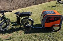 Forest Park E-Bike Tour with Optional Saint Louis Zoo Visit