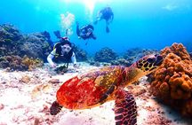 Phuket: 2 RACHA ISLANDS, 3x SNORKELING From Yacht Full-Day