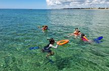 Local Ceviche Snorkeling Adventure in Puerto Morelos