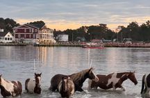 Chincoteague Pony Swim Kayak Tour 2027 - front row Pony Swim Seat