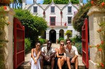 Treasures of Barbados Cave and Plantation Sightseeing Tour