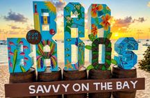 Barbados Shore Excursion Barbados Paradise Sightseeing Tour