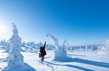 Riisitunturi National Park Day Tour from Rovaniemi